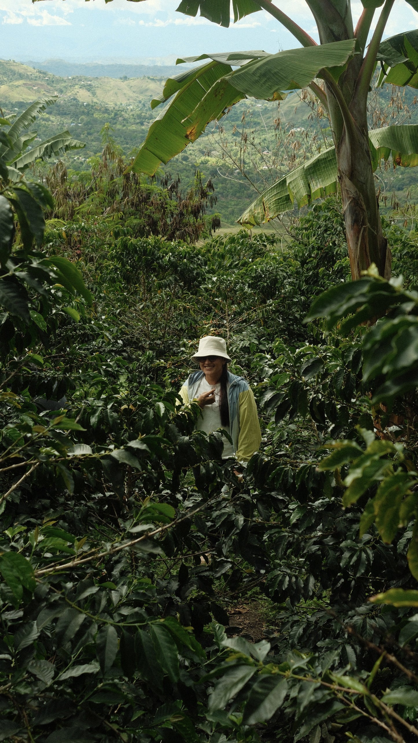 Proyecto Berruecos Decaf.